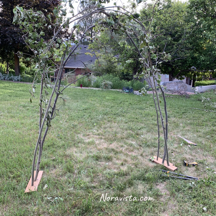 A wedding arch made of tree limb branches 
